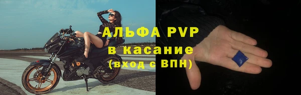 PSILOCYBIN Алексеевка