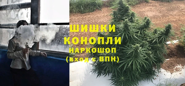 PSILOCYBIN Алексеевка