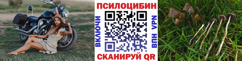 Галлюциногенные грибы Cubensis  Щёлкино 